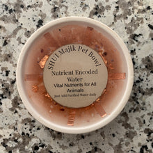 Load image into Gallery viewer, Nutrient Encoded Pet Water Bowl, Cats