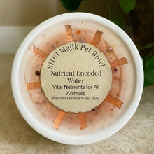 Load image into Gallery viewer, Nutrient Encoded Pet Water Bowl, Dogs